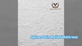 10 Inch Memory Foam Mattress Spine Support