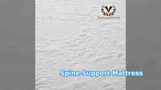 10 Inch Memory Foam Mattress Spine Support